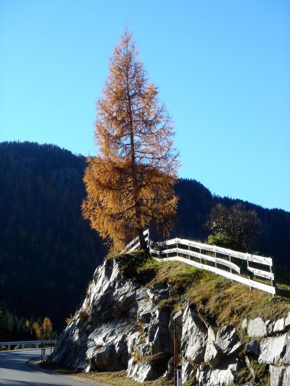 Hotel Alpengasthof Zollwirt Sankt Jakob in Defereggen Exteriér fotografie