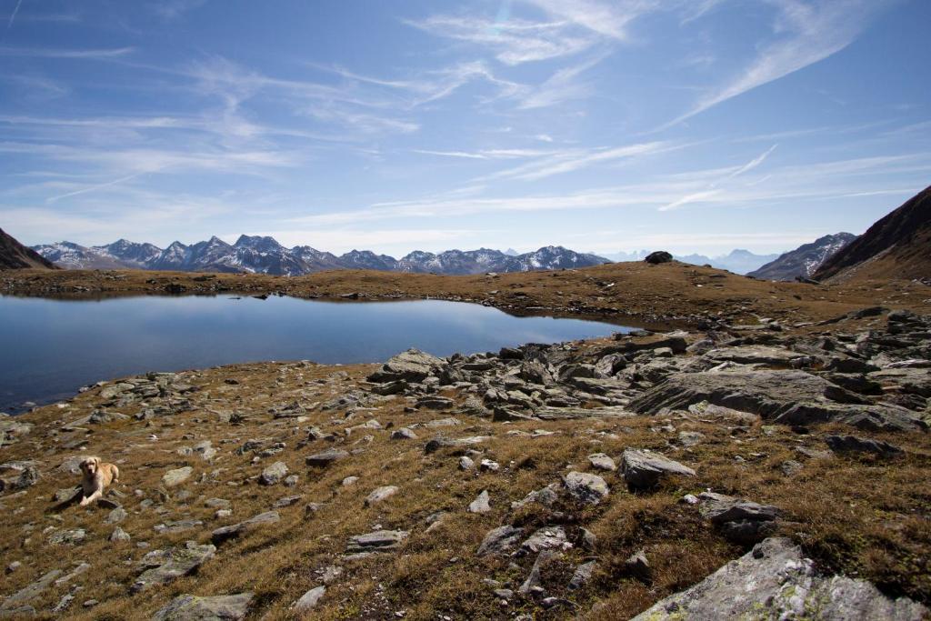 Hotel Alpengasthof Zollwirt Sankt Jakob in Defereggen Exteriér fotografie