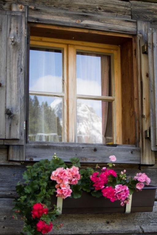 Hotel Alpengasthof Zollwirt Sankt Jakob in Defereggen Exteriér fotografie